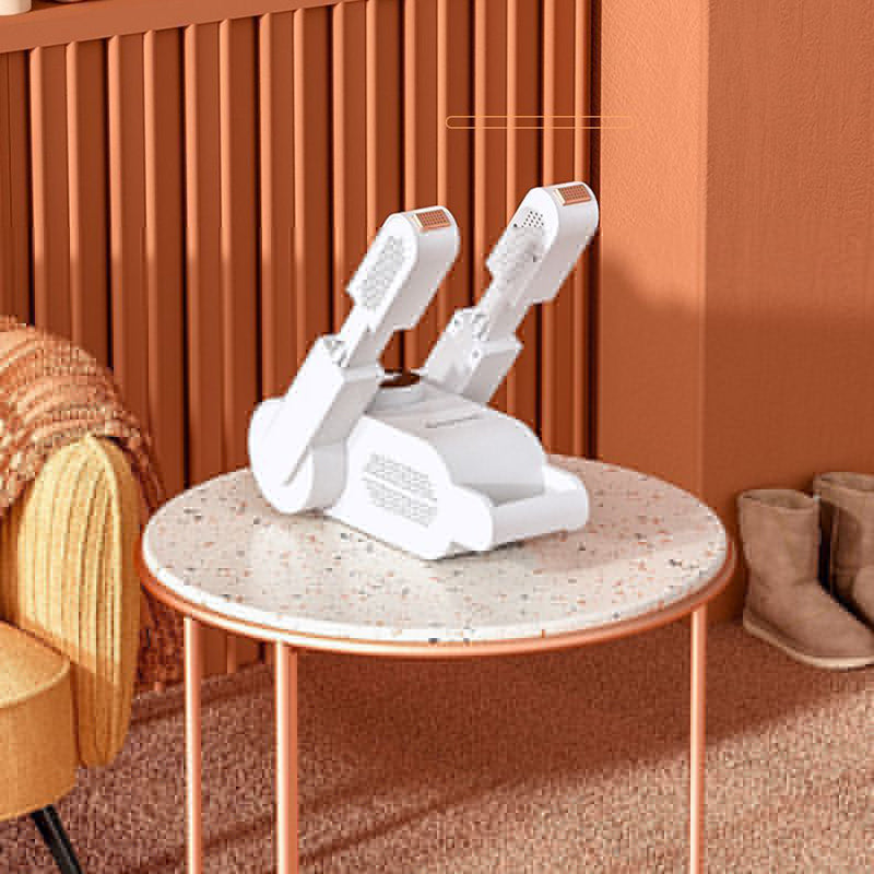 New Smart Shoe Dryer